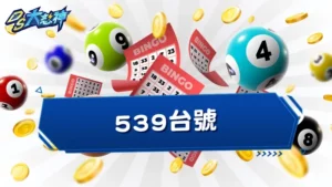 539台號－究竟台號是什麼？告訴你台號怎麼看，台號玩法超有趣